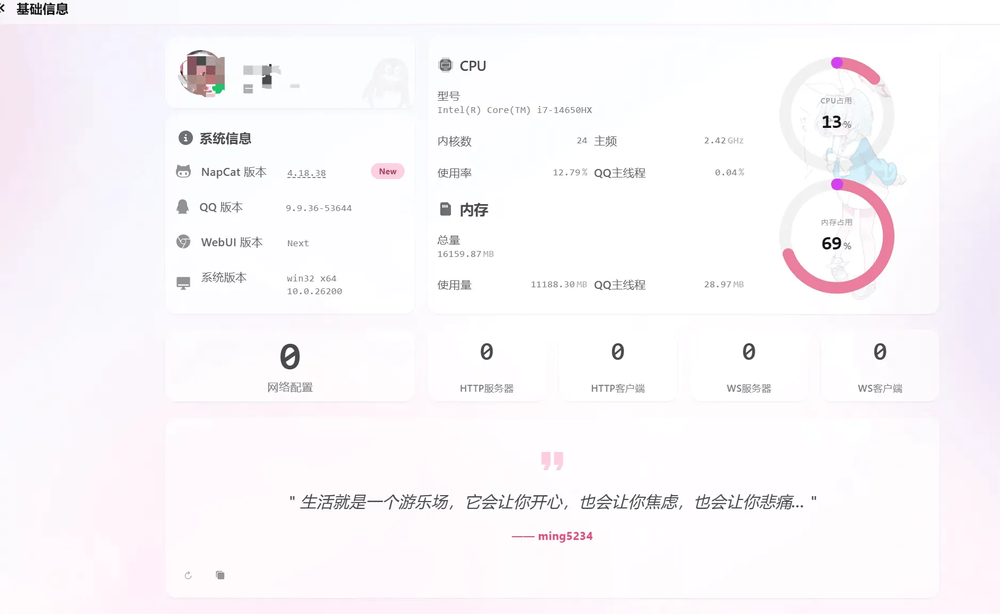 NapCat 主界面：确认版本与连接状态